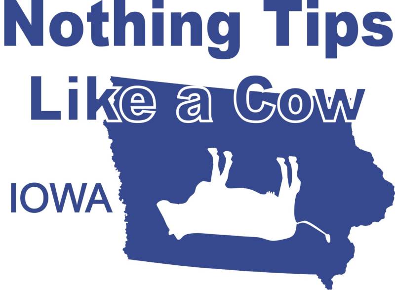 Nichts Tipps Wie Eine Kuh - Iowa T-Shirt Lustige Betrunkene Kippt Zustand Tshirt 447 von CaseysQualityPrints