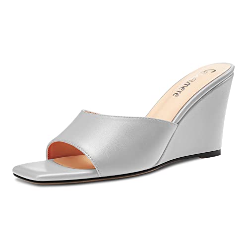 Castamere Damen Mittlerem Keilabsatz Absatz Heel Open Zehenkappe Slip-on Pantoletten Schuhe Sandalen Lässig Party 8 CM Heels Silber 44 EU von Castamere