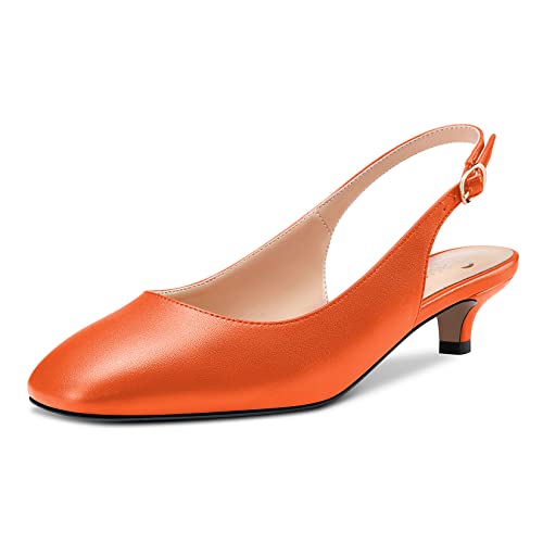 Castamere Damen Niedrige Kitten Absatz Heel Geschlossene Eckige Zehenkappe Slip-on Pumps Slingback Klassisch Dress Sandalen 3.5 CM Heels Orange Matt 39 EU von Castamere