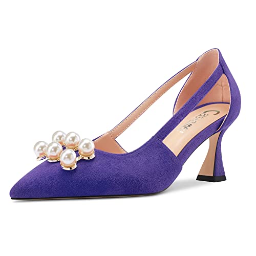 Castamere Damen Stiletto Mittlerem Absatz Heel Spitze Zehenkappe Two-Piece Slip-on Pumps Dress 6.5 cm Heels Violett 45 EU von Castamere