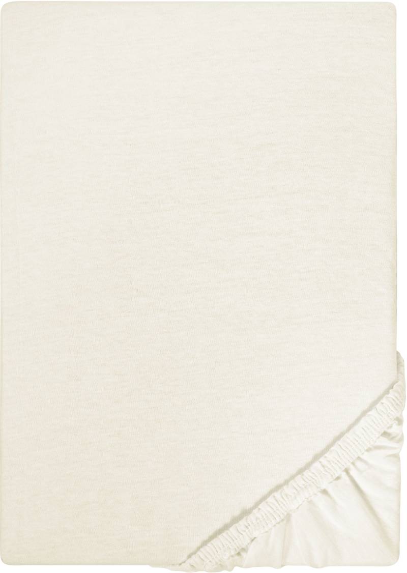 Castell - Markenbettwäsche Spannbettlaken "Jersey in Gr. 90x200, 140x200 oder 180x200 cm" aus Baumwolle, für Matratzen bis 22 cm Höhe, Bettlaken, Spannbetttuch Castell - Markenbettwäsche Spannbettlaken "Jersey in Gr. 90x200, 140x200 oder 180x200 cm" aus Baumwolle, für Matratzen bis 22 cm Höhe, Bettlaken, Spannbetttuch von Castell - Markenbettwäsche