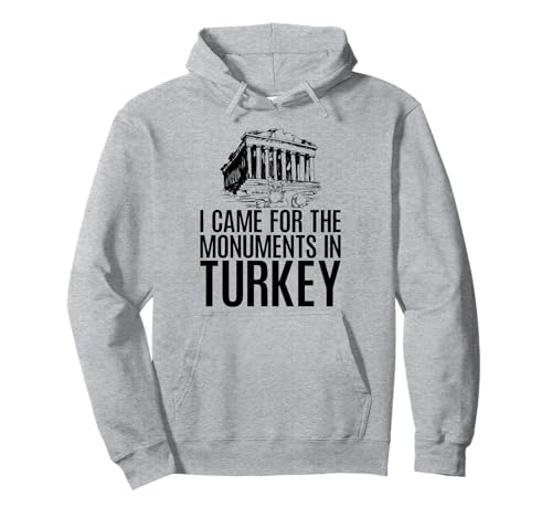 Katzen Ich Bin wegen der Monumente in der Türkei für Männer und Frauen gekommen. Pullover Hoodie von Cats in Turkey