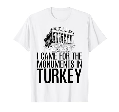 Katzen Ich Bin wegen der Monumente in der Türkei für Männer und Frauen gekommen. T-Shirt von Cats in Turkey