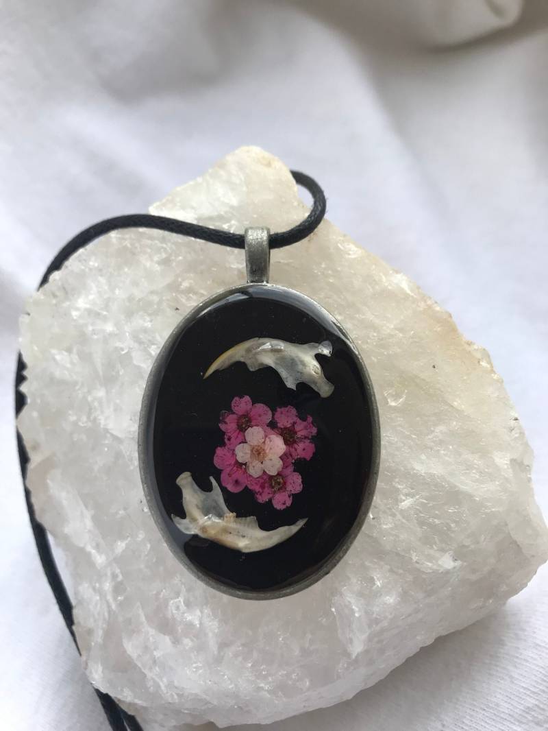 Unterkiefer von CatsCreatedOddities