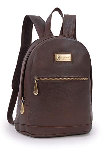 Catwalk Collection Handbags - Damen Leder Rucksackhandtasche - Anti Diebstahl Rucksack Groß - Backpack - Passend für Notizbuch A4 - FERN - Braun von Catwalk Collection Handbags