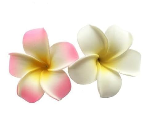 2 Stück 6,9 cm Plumeria Haarspange hawaiianische Schaumstoff-Blumen-Haarspangen Frangipani künstliche Schaumstoff-Haarspangen für Frauen Mädchen Luau Strand Hawaii Tropische Braut Hochzeit Party 2 Stück 6,9 cm Plumeria Haarspange hawaiianische Schaumstoff-Blumen-Haarspangen Frangipani künstliche Schaumstoff-Haarspangen für Frauen Mädchen Luau Strand Hawaii Tropische Braut Hochzeit Party von Cauaoa