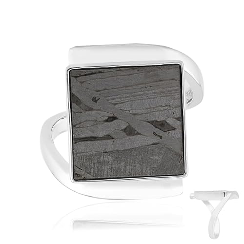 Cavill Aletai Meteorit Ring Herren 925 Sterling Silber mit 2,831 ct Carré Meterschmuck, modernes quadratisches Design, dunkler Meteorit Einsatz aus China, silberfarbenes Band, Größe 18 von Cavill