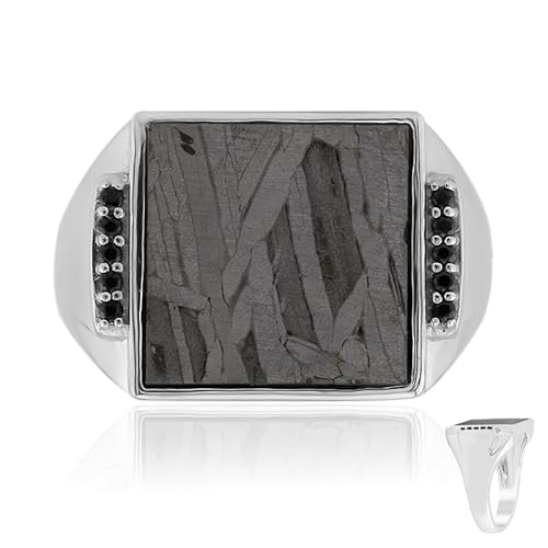 Cavill Aletai Meteorit Ring aus 925 Sterling Silber mit 2,831 ct Carré-Meteorit und 10 schwarzen Spinellen, moderner Herren Silberring, elegantes Design, Größe 17-20 von Cavill