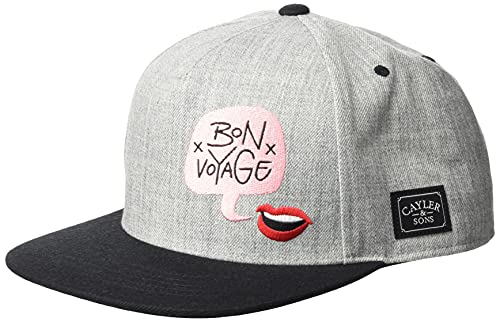 Cayler & Sons Unisex Baseball Kappe C&S WL Bouble Voyage Cap Baseballkappe, Heather Grey/mc, one Size von Cayler & Sons