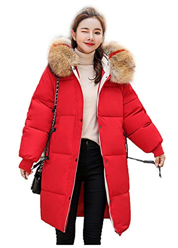 Ceanfly Winterjacke Damen Lang Warm Mantel Winter Jacke Wintermantel Parka mit Fell Übergangsjacke Steppjacke Outwear von Ceanfly