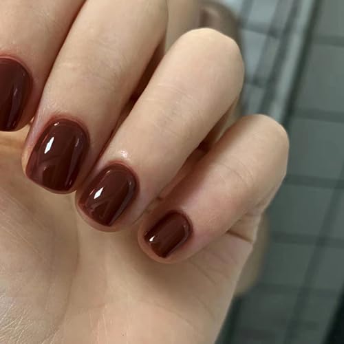 24 Stück Künstliche Nägel Kurz Eckig, Französische Pure Farbe Nägel zum Aufkleben Acryl Kunstnägel Press on Nails, Square Full Cover Rotbraun Fingernägel Fake Nails für Frauen und Mädchen 24 Stück Künstliche Nägel Kurz Eckig, Französische Pure Farbe Nägel zum Aufkleben Acryl Kunstnägel Press on Nails, Square Full Cover Rotbraun Fingernägel Fake Nails für Frauen und Mädchen von Ceboic