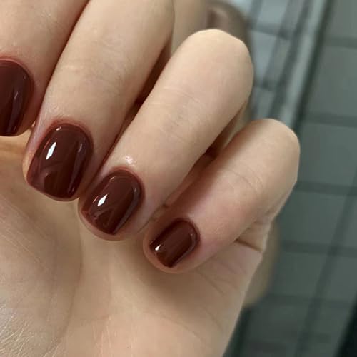 24 Stück Künstliche Nägel Kurz Eckig, Französische Pure Farbe Nägel zum Aufkleben Acryl Kunstnägel Press on Nails, Square Full Cover Rotbraun Fingernägel Fake Nails für Frauen und Mädchen von Ceboic