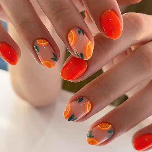 Ceboic 24 Stück French Press on Nails Kurz, Orange Oval Nägel zum Aufkleben, Ballerina Artificial Künstliche Nägel Vollabdeckung Französisch Falsche Nägel Acryl Sommer Fingernägel für Frauen Mädchen Ceboic 24 Stück French Press on Nails Kurz, Orange Oval Nägel zum Aufkleben, Ballerina Artificial Künstliche Nägel Vollabdeckung Französisch Falsche Nägel Acryl Sommer Fingernägel für Frauen Mädchen von Ceboic