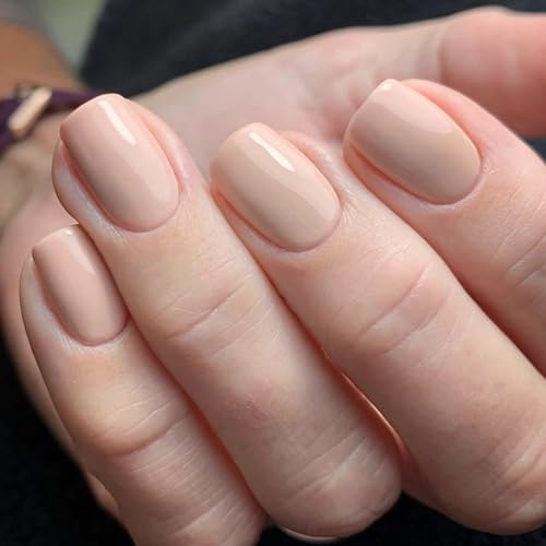 Ceboic 24 Stück Press on Nails Kurz Eckig, Reine Farbe Nägel zum Aufkleben Französische Fingernägel Künstliche Nägel, Glossy Natürliche Acryl Kunstnägel Fake Nails für Frauen & Mädchen - Creme Weiß von Ceboic