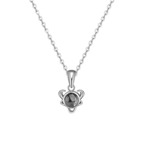 Cernomal Sternzeichen-Halskette – 12 Sternbilder, Steinanhänger, Weiße Pulloverkette, Modischer Charm, Schmuck, Geschenke, Accessoires Für Damen, Mädchen, Herren, Stier, Verstellbar von Cernomal