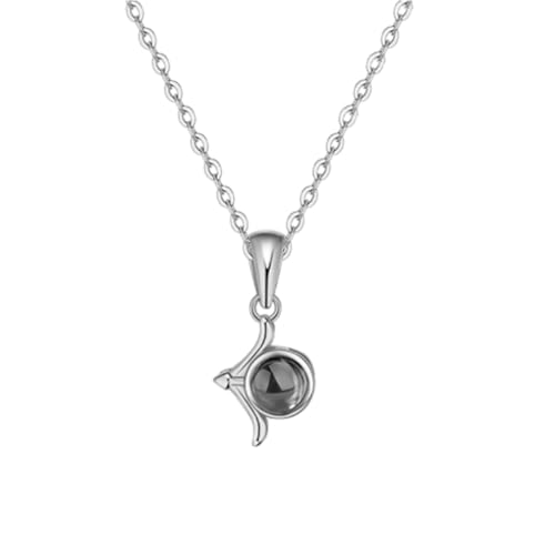 Cernomal Sternzeichen-Halskette – 12 Sternbilder-Stein-Anhänger, Weiße Pulloverkette, Modischer Charm, Schmuck, Geschenke, Accessoires Für Damen, Mädchen, Herren, Schütze, Verstellbar von Cernomal