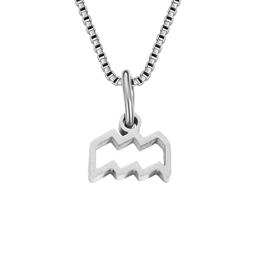 Cernomal Sternzeichen-Halsketten – 12 Sternbild-Symbol-Anhänger, Hip-Hop-Weiße Pullover-Kette, Verstellbare Ketten-Halsketten Für Damen Und Herren, Schmuck, Geschenk, Wassermann, Vers von Cernomal