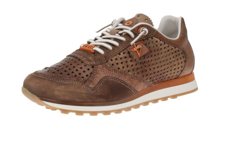 Cetti Cetti C-848 EXP V25 - Herren Sneaker - Used-Tin-Capuccino Sneaker von Cetti