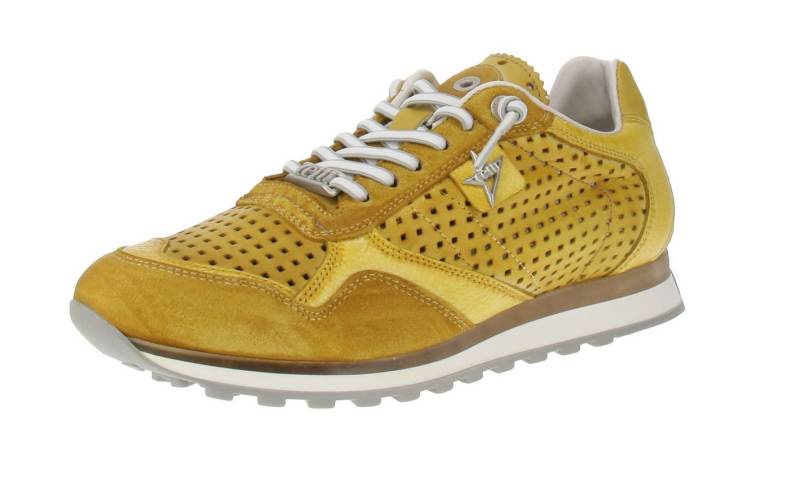Cetti Cetti C-848 EXP V25 - Herren Sneaker - Used-Tin-Lemon Sneaker von Cetti