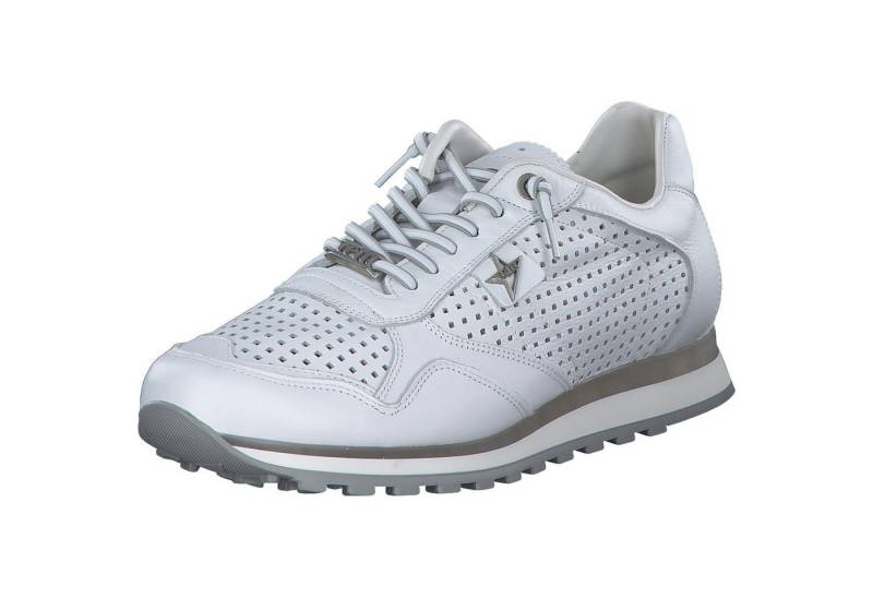 Cetti C848 EXP M Schnürschuh von Cetti