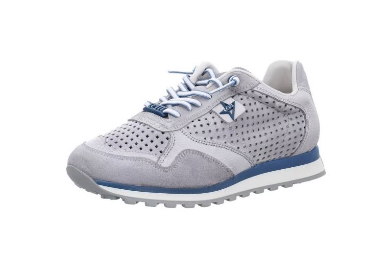 Cetti C848 Sneaker von Cetti