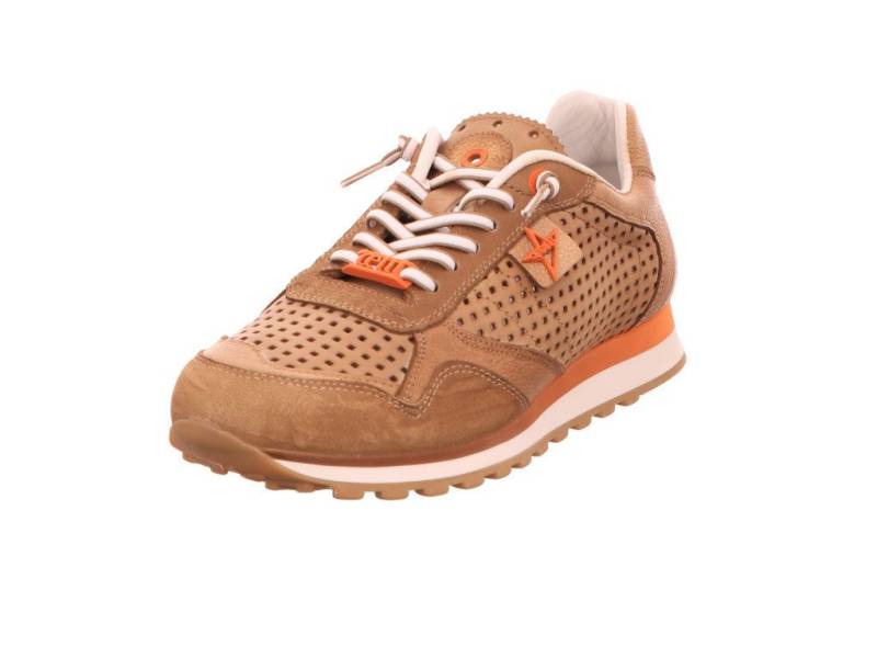 Cetti C848-Used tin ambar Schnürschuh von Cetti