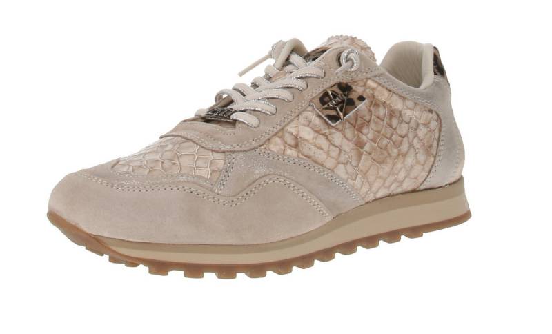 Cetti Cetti C-848 SRA INV26 - Damen Sneaker - Ante-Elba-Hummus Sneaker von Cetti