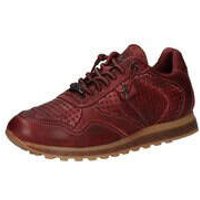Cetti Sneaker Herren rot|rot|rot|rot|rot|rot|rot von Cetti