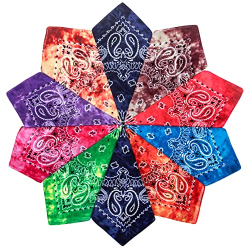 Chalier Cmfort Bandana Kopftuch Unisex,Baumwolle Halstuch für Damen Herren,Bandana kopftuch mit Mischfarben 10/12/14 Pack Armtuch,Haar,Pet Hals Vierecktuch von Chalier Cmfort