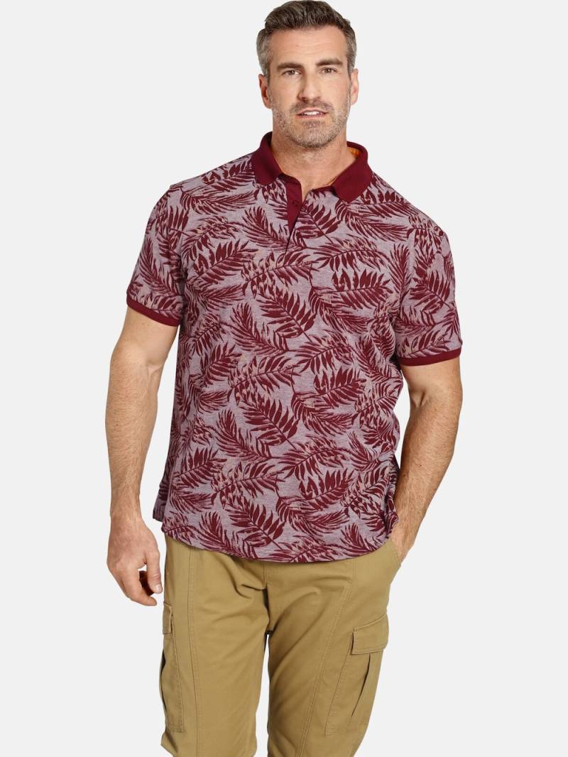 Große Größen Poloshirt EARL ANGUS, Herren, rot, Größe: XXL, Baumwolle, Happy Size DE Men von Charles Colby