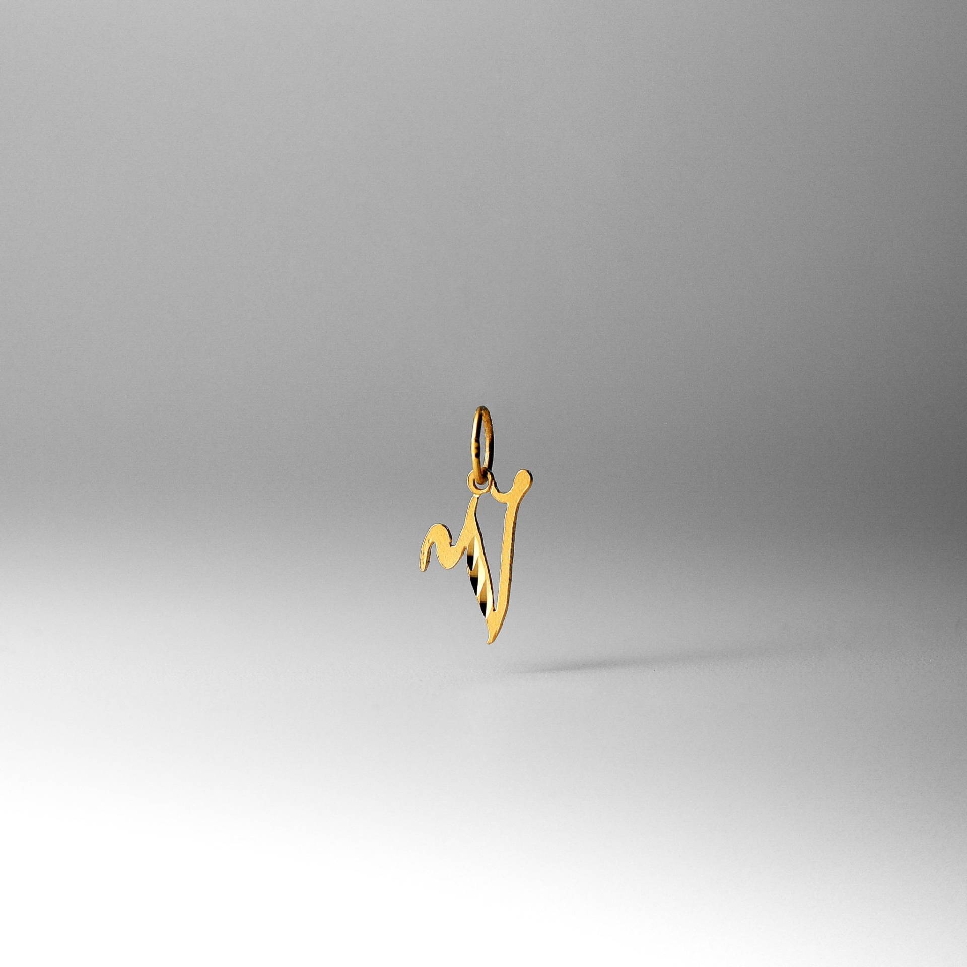 14K Gold „V" Initial Cursive Anhänger Charm - Halskette von CharlieandCoGOLD