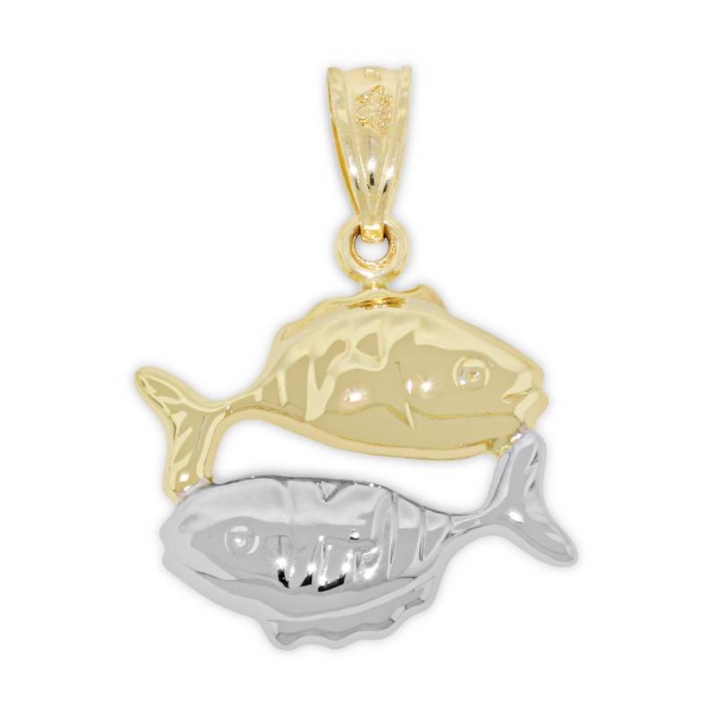 Gold Pisces Sternzeichen Charm - 10 Karat Mit Optionaler Goldkette Doppelseitig Horoskop Anhänger von CharmAmerica