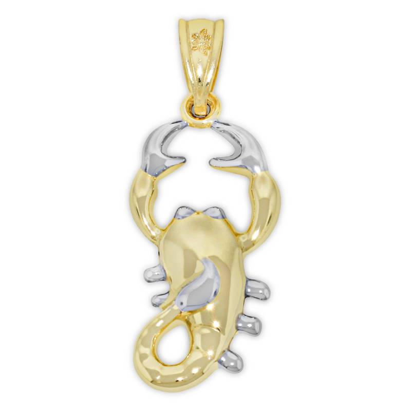 Gold Skorpion Sternzeichen Anhänger - 10 Karat Mit Optionaler Goldkette Doppelseitig Halskette Horoskop von CharmAmerica