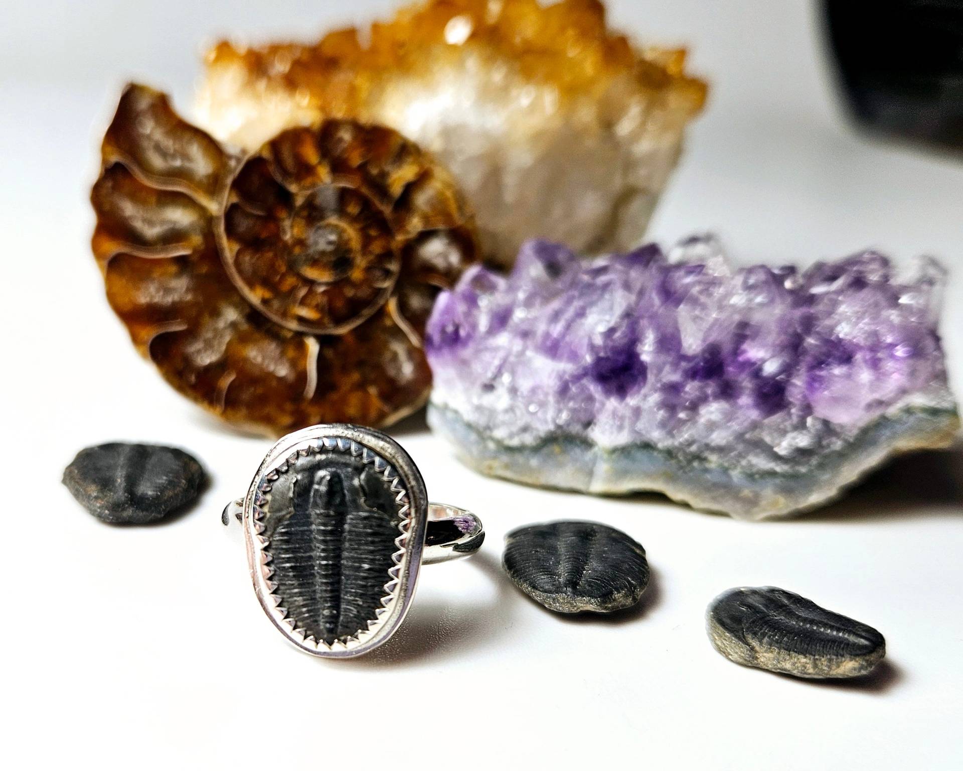 Kleiner Trilobit Als Ring Fossilien, Sondergröße, Fossil Ring, Antike Kreaturen, Tragbare Geschichte, Unisex Handwerker Sterling Silber Kleiner Trilobit Als Ring Fossilien, Sondergröße, Fossil Ring, Antike Kreaturen, Tragbare Geschichte, Unisex Handwerker Sterling Silber von CharmAndRiddle