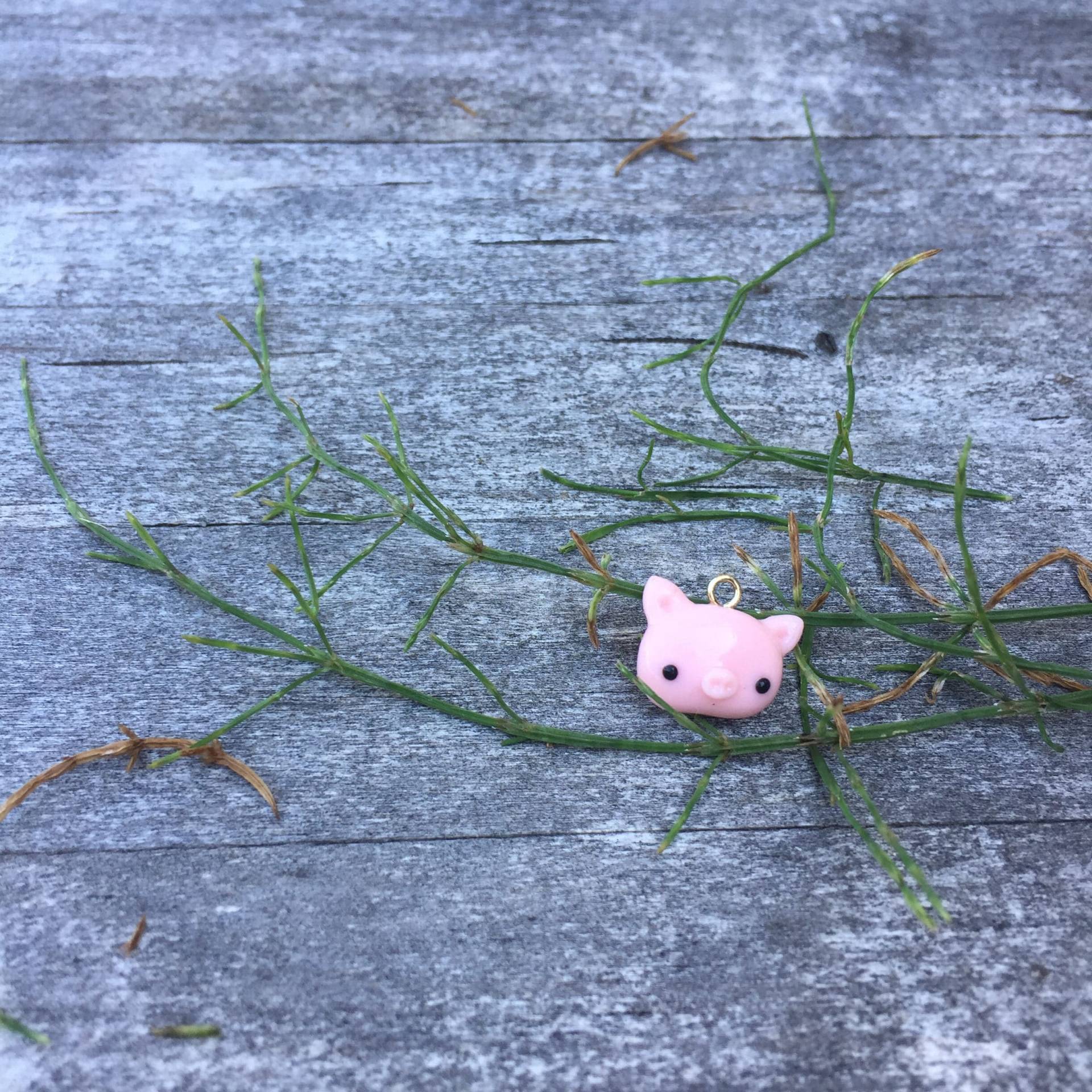 Fava Schwein Bean Charme Fava Schwein Bean Charme von CharmsbyChickadee