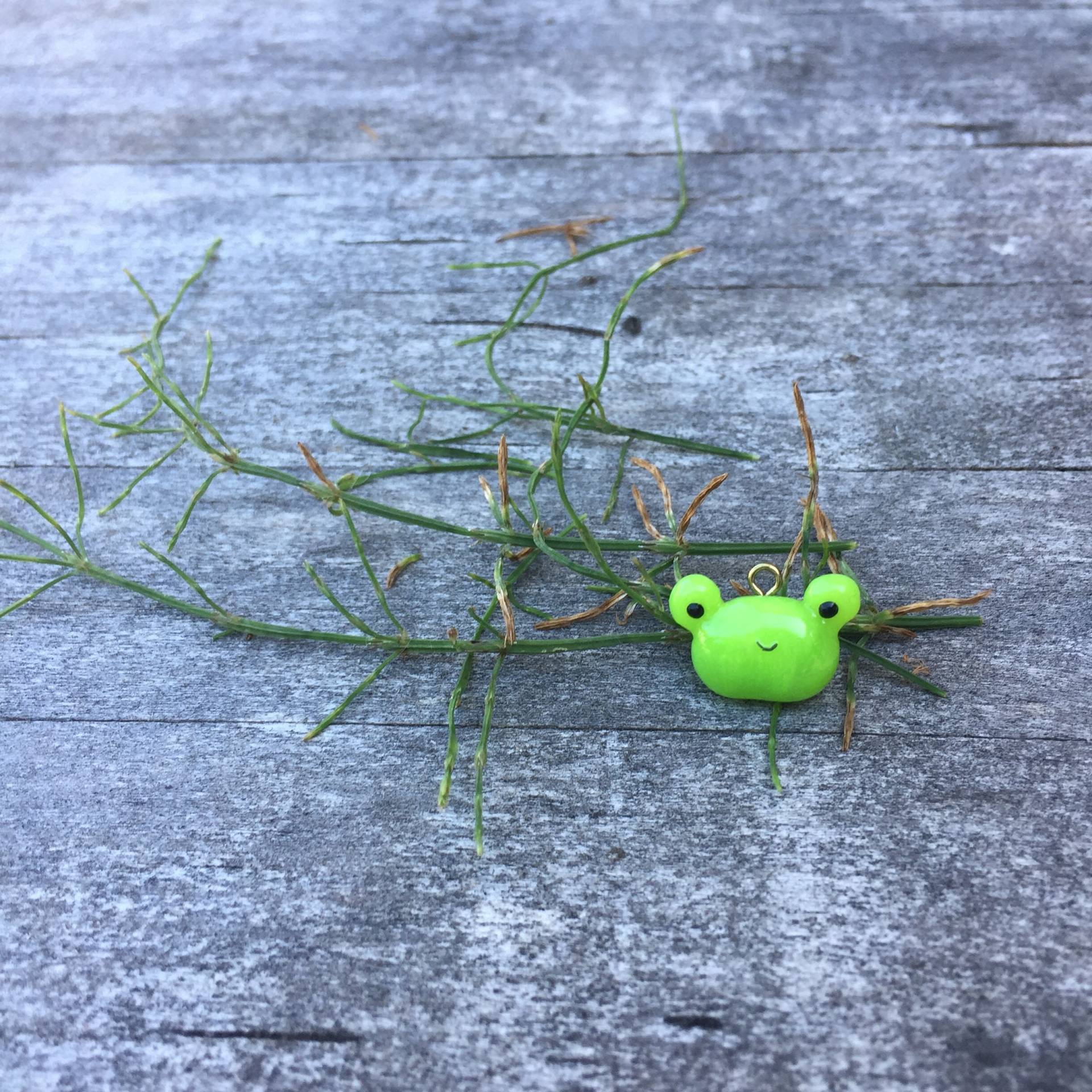 Tepy Frosch Bean Charme Tepy Frosch Bean Charme von CharmsbyChickadee
