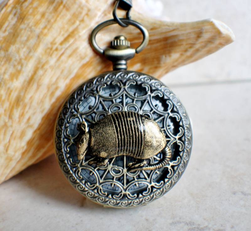 Armadillo Taschenuhr Antike Bronze Mit Tigerauge Kette von Charsfavoritethings