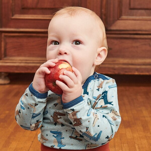 Cheeky Apple Bio Langarm-Body "Crocs on Wheels" von Cheeky Apple