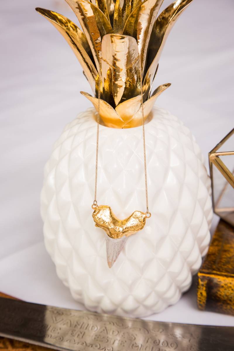 Tiburona Vergoldete Hai Fossil Kette Tiburona Vergoldete Hai Fossil Kette von ChelseaHeilStyle