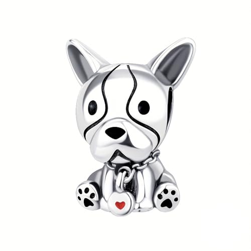 ChenYuTe 925 Sterling Silber Charms für Armbänder, Charms Anhänger Kompatibel mit Pandora Europäischen Armbändern und Halskette Frauen von ChenYuTe