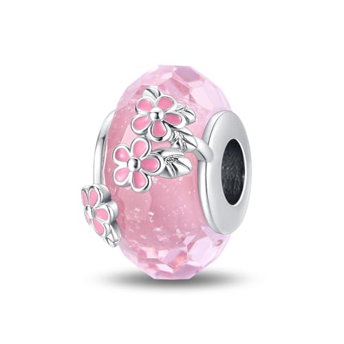 ChenYuTe 925 Sterling Silber Charms für Armbänder, Charms Anhänger Kompatibel mit Pandora Europäischen Armbändern und Halskette Frauen von ChenYuTe