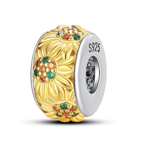 ChenYuTe 925 Sterling Silber Charms für Armbänder, Dangle Anhänger Kompatibel mit Pandora Europäischen Armbändern und Halskette Frauen von ChenYuTe