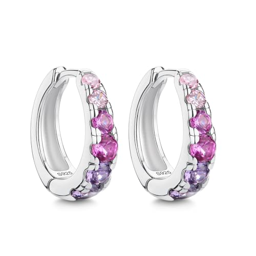 ChenYuTe 925 Sterling Silber Frauen Hoop Earrings Trendy Ohrringe Schmuck Geburtstag Party & andere Gelegenheit Geschenk Bevorzugt von ChenYuTe