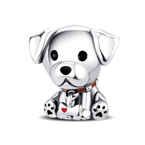 ChenYuTe 925 Sterling Silber Marienkäfer Charms, Chamäleon Charm Beadwork für Europäische Charm Armbänder und Halsketten von ChenYuTe