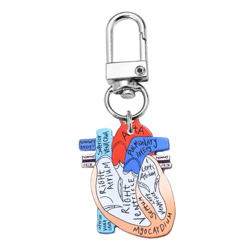 Einzigartige Herzdesigns Schlüsselbund Realistic Heart Diagramm Schlüsselbund Charme Für Die Öffentliche Gesundheit Und Anatomiebewusstsein von Chevnzev