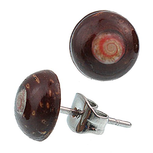 CHICNET Ohrstecker Unisex 8 mm Kokosnuss Holz Edelstahl Muschel Kreiselschnecke rund rosa weiß| Lobe Piercing Damen Herren Ohr Schmuck Handarbeit Chirurgenstahl |Geschenk Ohrringe braun von CHICNET