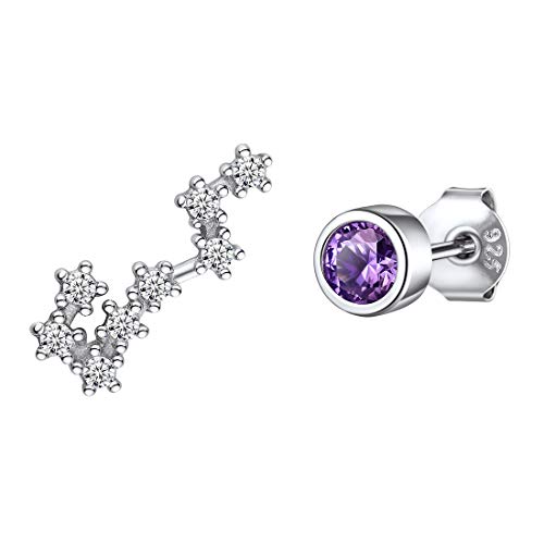 ChicSilver 925er Sternbild-Ohrringe Scorpion Ohrstecker mit Amethyst Stein 925 Sternzeichen Ohrringe mit Schmuckbox und Beutel von ChicSilver