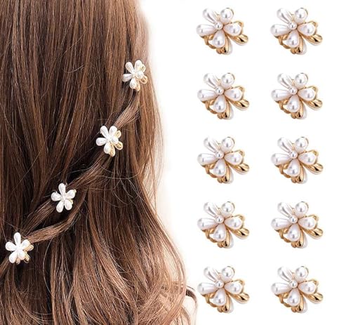 ChicTresses® Koreanische Haar-Accessoires für Frauen, Haarspangen für Frauen, kleine Clutcher für Frauen, Haarklammern für Frauen, Haarspangen für Mädchen, Haarnadel für Frauen, Geschenke für Frauen, von ChicTresses
