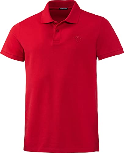 Chiemsee Herren Poloshirt, 100% Baumwolle, bequemes Poloshirt/T-Shirt mit lässigem Kragen, leichte Herrenoberbekleidung, atmungsaktiv & luftdurchlässig, Rot, Gr. L von Chiemsee