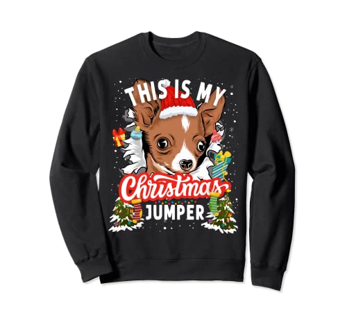 Chihuahua Weihnachtspullover Idee für Damen & Weihnachten Chihuahua Sweatshirt von Chihuahua Owner & Kids Christmas Chihuahua Ideas